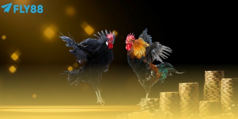 Các trận đấu được trực tiếp với hình ảnh vô cùng sắc nét